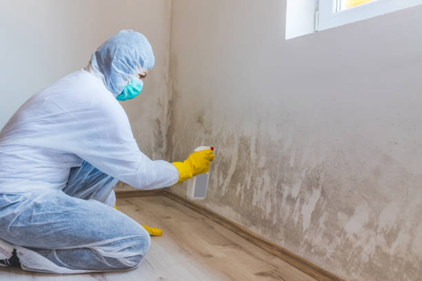 Mold Remediation specialist working in Gaston